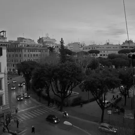Pepe's Place - Re Di Affittacamere Roma